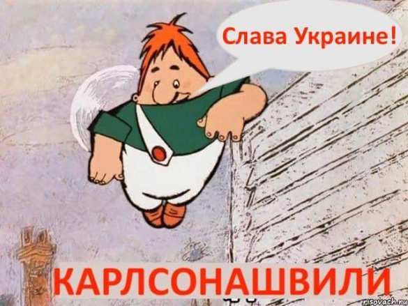 «Михо, который шалит на крыше»: в Сети смеются над Саакашвили (ФОТОЖАБЫ) | Русская весна