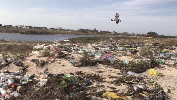 Горы отходов и слив канализации: как уничтожают морское побережье в Геническе (ФОТО) | Русская весна