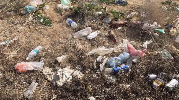 Горы отходов и слив канализации: как уничтожают морское побережье в Геническе (ФОТО) | Русская весна