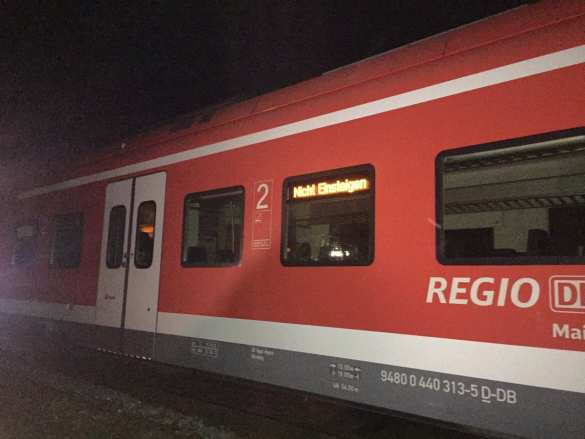 В Германии мужчина с топором напал на пассажиров поезда, ранен 21 человек (+ФОТО) | Русская весна