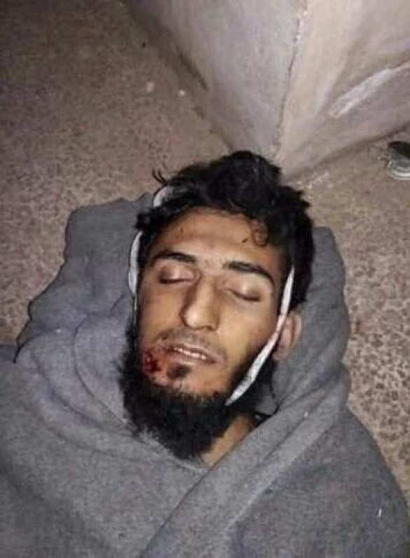 Кровавая жатва: «Ан-Нусра» признала потерю 200 боевиков за две недели в Алеппо и Латакии (ВИДЕО, ФОТО 18+) | Русская весна