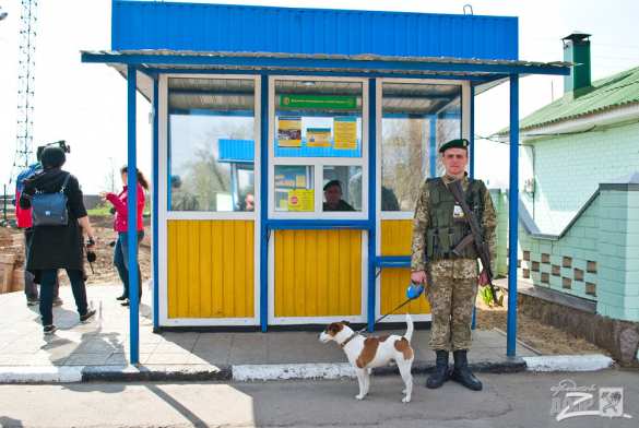 Противотанковые «ежи» и зелень в «кадках»: хваленая «Стена» на границе Украины с Россией (ФОТОЛЕНТА) | Русская весна