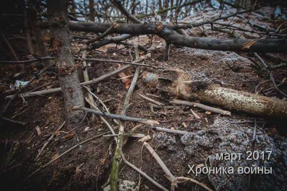 Донбасс. Война. Хроники (ФОТО) | Русская весна