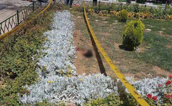 Атака террористов на Тегеран — подробности (ФОТО, ВИДЕО 18+) | Русская весна