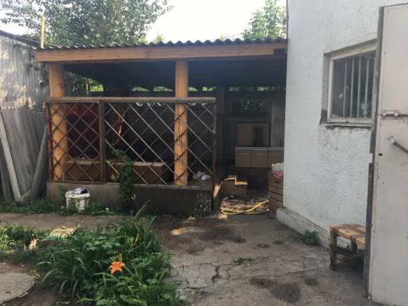 Чемпион по дзюдо убит в кафе Тольятти — подробности (+ФОТО, ВИДЕО) | Русская весна