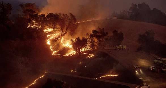 Лос-Анджелес в огне, Шварценеггер и звёзды Голливуда бегут из своих шикарных особняков (ФОТО, ВИДЕО) | Русская весна