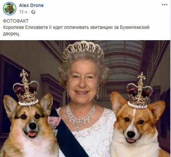 «Продай собаку — оплати коммуналку», — советы украинцам от «слуг народа» (+ФОТО, ВИДЕО) | Русская весна