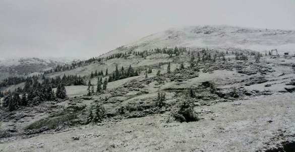 Карпаты засыпало снегом: экстренно эвакуирован детский лагерь (ФОТО) | Русская весна