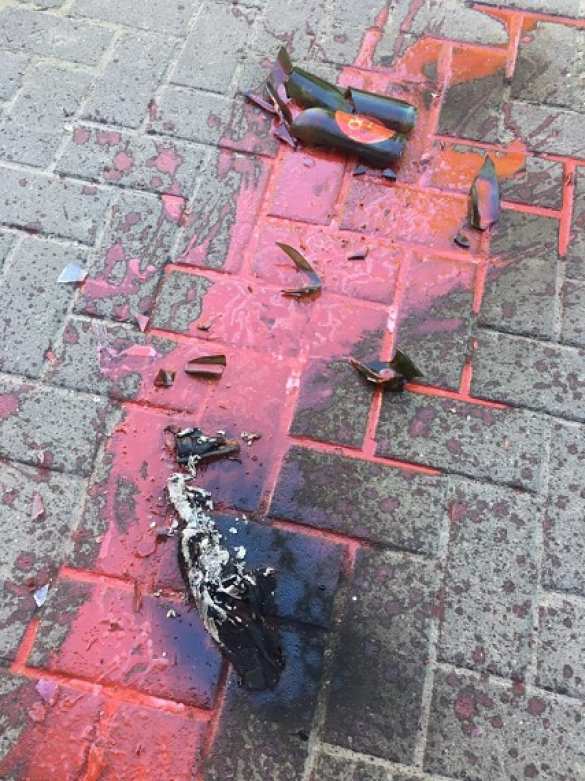 Во Львове в офис «Свободы» кинули коктейль Молотова (ФОТО) | Русская весна