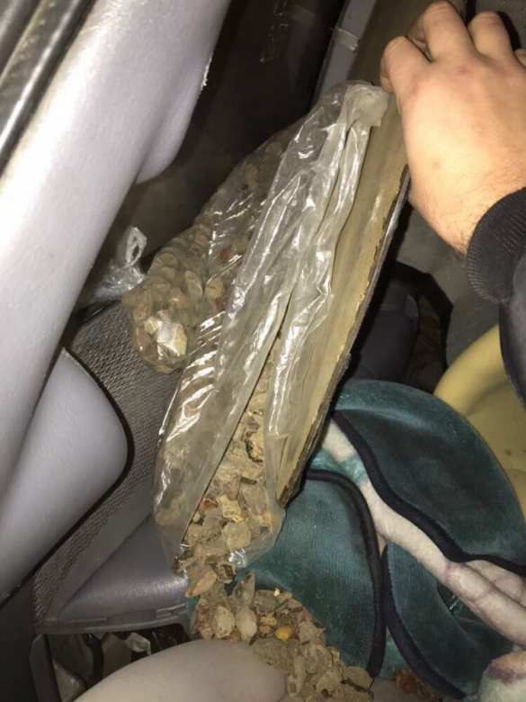 Новости безвиза: украинец вез в Польшу десятки кило янтаря (ФОТО, ВИДЕО) | Русская весна