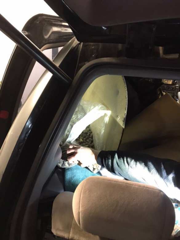 Новости безвиза: украинец вез в Польшу десятки кило янтаря (ФОТО, ВИДЕО) | Русская весна