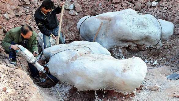 Бигфут-большая нога: учёные показали кости динозавра с самыми большими стопами (ФОТО) | Русская весна