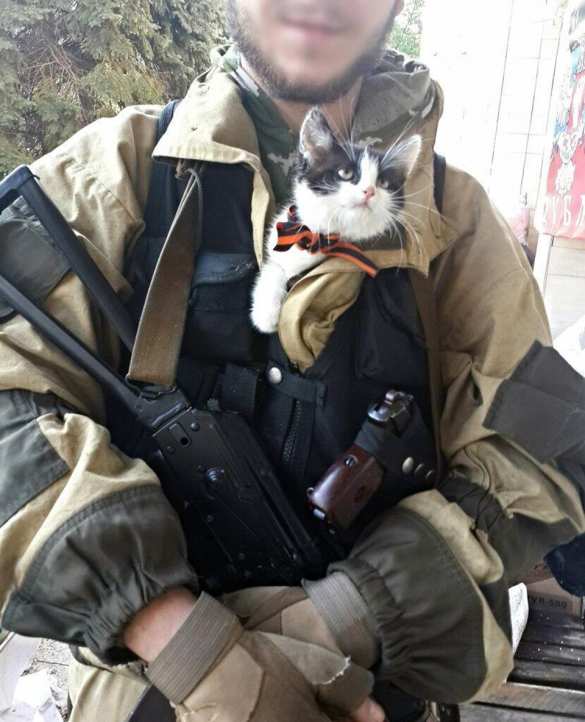Лучшие фото с фронтов Донбасса с четвероногими друзьями — Музей Новороссии объявляет конкурс (ФОТО)  | Русская весна