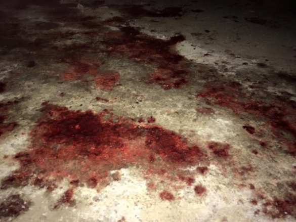 Кровавая бойня в Идлибе: «ан-Нусра» напала на ССА, убив многих боевиков и захватив штаб и американские ракеты (ВИДЕО, ФОТО 18+) | Русская весна