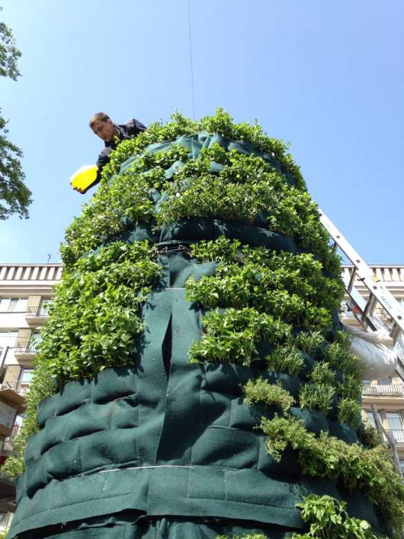В центре Киева из памятника Ленину сделали вертикальную грядку (ФОТО) | Русская весна