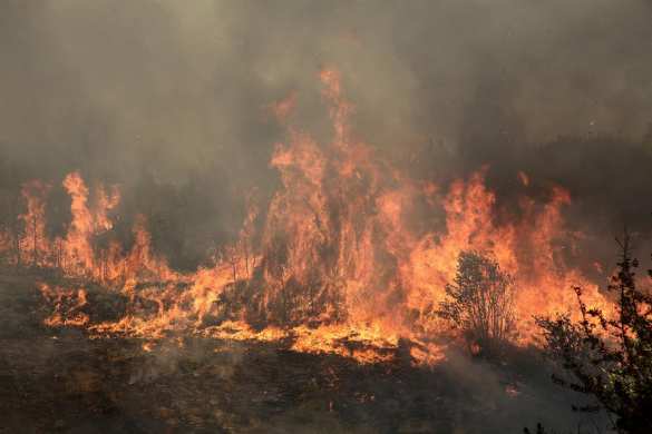В Греции бушует страшный пожар, гибнут люди (ФОТО, ВИДЕО) | Русская весна
