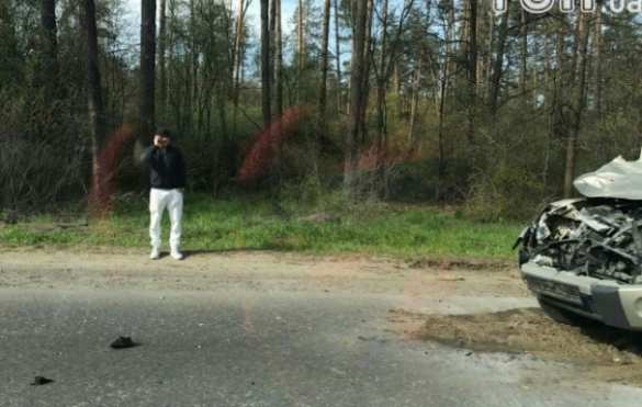 Украинский боксер столкнулся с лосем (ФОТО) | Русская весна