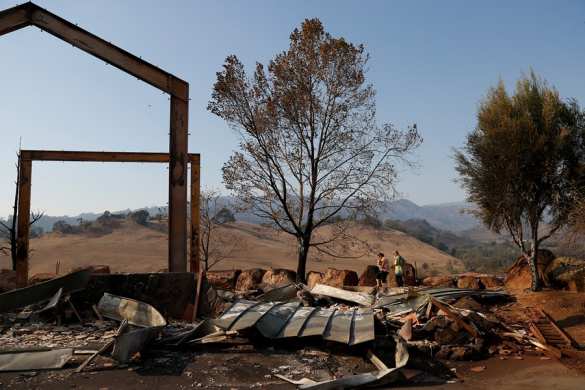 Лос-Анджелес в огне, Шварценеггер и звёзды Голливуда бегут из своих шикарных особняков (ФОТО, ВИДЕО) | Русская весна