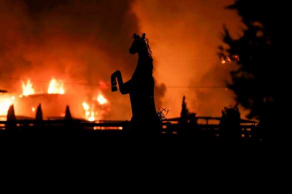 Лос-Анджелес в огне, Шварценеггер и звёзды Голливуда бегут из своих шикарных особняков (ФОТО, ВИДЕО) | Русская весна