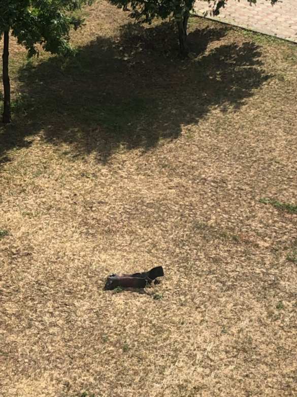 Мощный взрыв в Луганске — подробности (ФОТО, ВИДЕО) | Русская весна