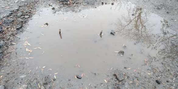 Украинские пограничники попали в ловушку у границы с Россией (ФОТО) | Русская весна