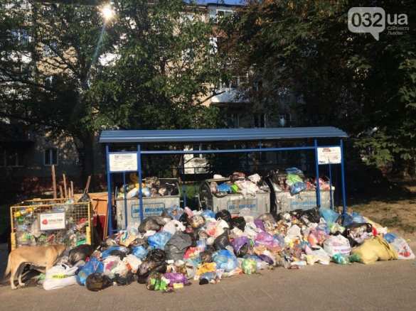 Львов утопает в мусоре: шокирующие кадры из «культурной столицы» Украины (ФОТО, ВИДЕО) | Русская весна