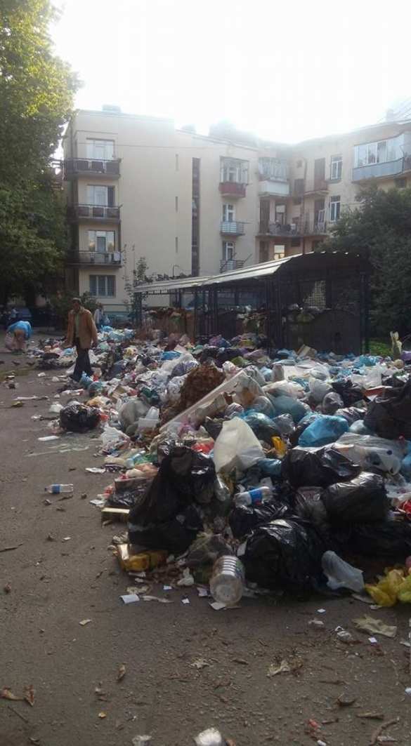 Львов утопает в мусоре: шокирующие кадры из «культурной столицы» Украины (ФОТО, ВИДЕО) | Русская весна