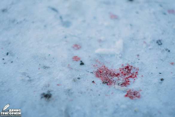 Two civilians killed, two more injured as Kiev shells Donetsk and Makeyevka (GRAPHIC VIDEO, PHOTOS) | Русская весна