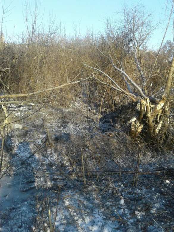 ВАЖНО: Обстрелы продолжаются, школа в Макеевке эвакуирована, попадание в 9-этажный дом, в Донецке ограничено движение транспорта (+ФОТО) | Русская весна