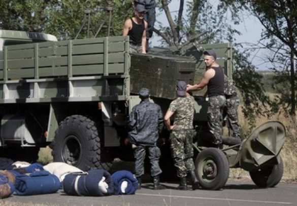 ВСУ в Мариуполе Мариупольские власти в ужасе: впереди – армия ДНР, сзади – шакалы (фото) | Русская весна
