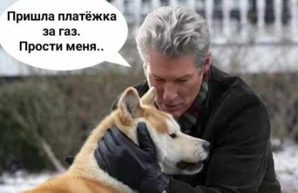 Сеть взорвалась фотожабами после совета украинцам «продать собаку и заплатить за газ» (ФОТО) | Русская весна