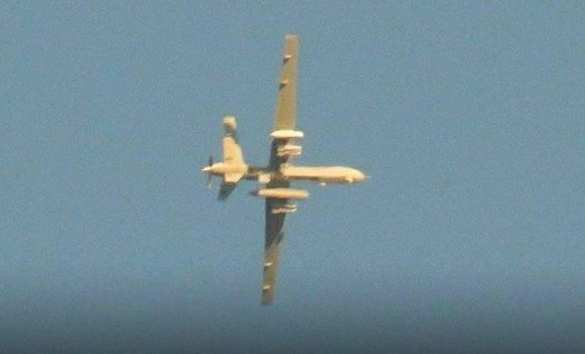 Думали, что сбивают русских: Ударные MQ-9 Reaper ВВС США сбиты в Сирии (+ФОТО, ВИДЕО) | Русская весна