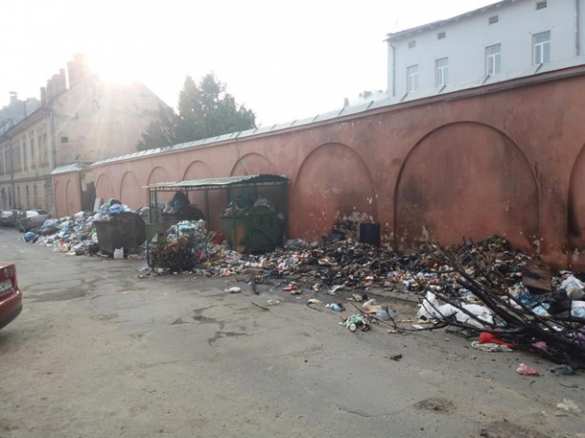 В центре Львова мусор парализовал автомобильное движение (ФОТО) | Русская весна