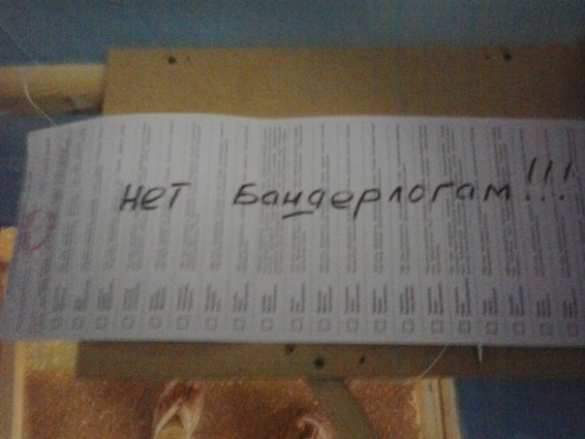 Как портили бюллетени — голос протеста в фотографиях (фото) | Русская весна