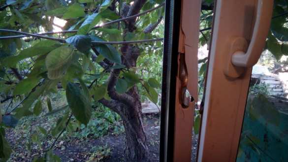 Тревожное утро в Горловке: враг применяет миномёты и разрывные пули (+ФОТО) | Русская весна