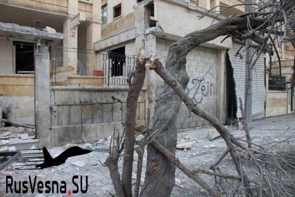 Алеппо в огне: враг наносит удар за ударом, безжалостно убивая людей (ФОТО, ВИДЕО 18+) | Русская весна