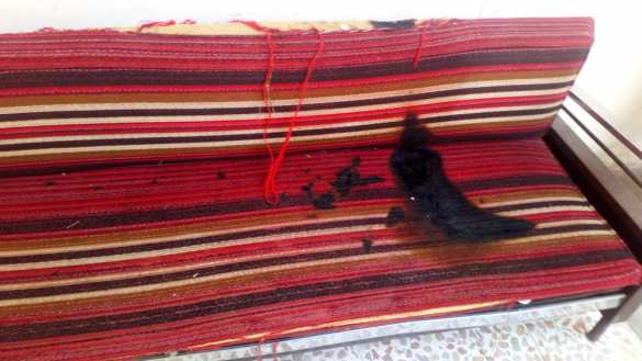 Страшные зверства боевиков: нелюди убивают детей сирийских христиан (+ВИДЕО, ФОТО) | Русская весна