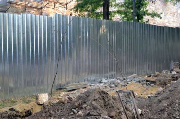 Фото: Андрей Колисниченко Знаки: в Одессе засохли деревья, высаженные в память о «небесной сотне» — их забыли поливать (ФОТО) | Русская весна