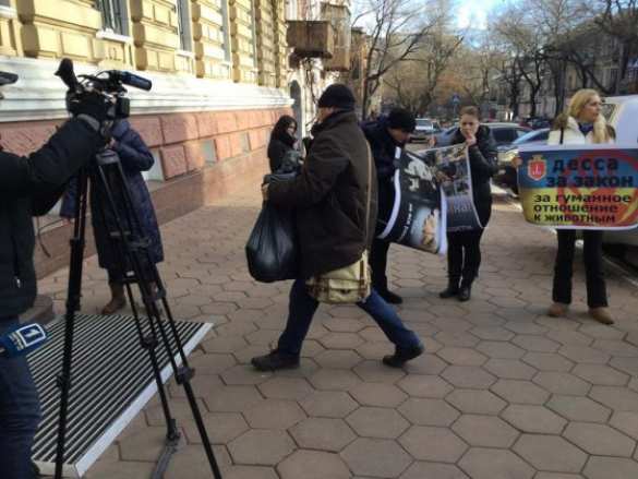 В Одессе к зданию нацполиции принесли трупы собак (ФОТО 18+) | Русская весна