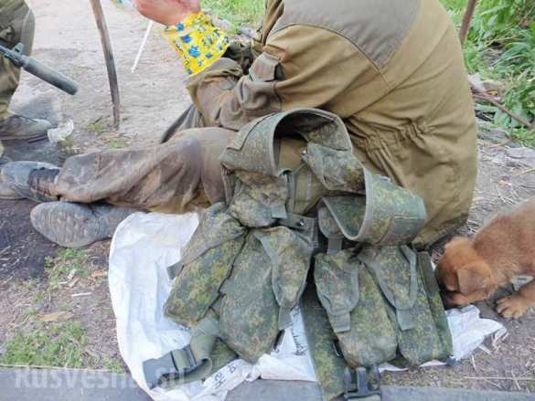 Torturen und Exekutionen in Folterkammern des Sicherheitsdienstes - Amnesty International | Русская весна