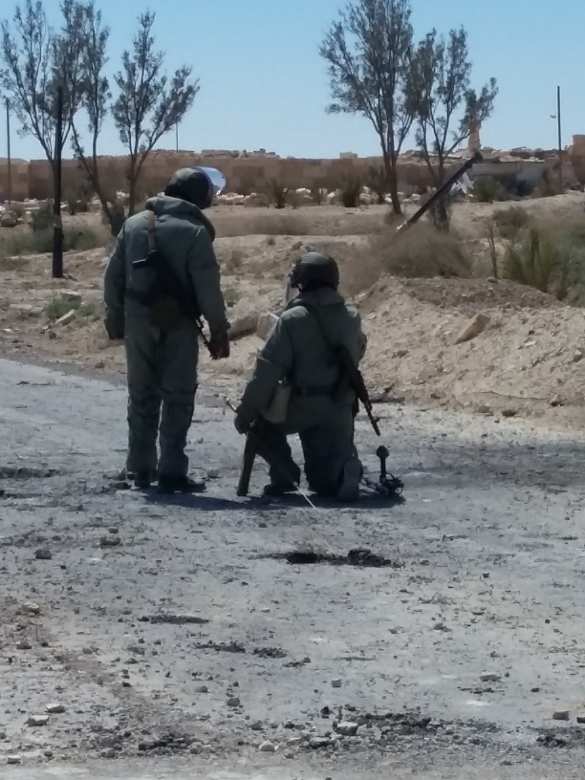 Пальмира: российские саперы с собаками ликвидируют мины ИГИЛ — эксклюзив «Русской Весны» (ФОТО) | Русская весна