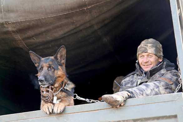 Сегодня — крайний срок демилитаризации на Донбассе (ВИДЕО/ФОТО) | Русская весна