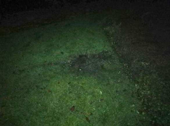 В Киеве пытались взорвать памятник карателям «АТО» (ФОТО) | Русская весна