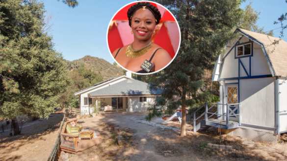 Одна из основательниц BLM разбогатела и купила дорогой дом в белом районе | Русская весна