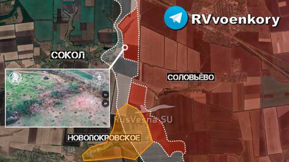 Идут тяжёлые бои за Новопокровское, «Отважные» отражают атаку за атакой, штурмуют Сокол и наступают за Уманским (КАРТА) | Русская весна
