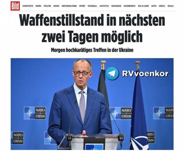 Есть большая вероятность, что перемирие на Украине будет продлено до 30 дней, — канцлер ФРГ | Русская весна