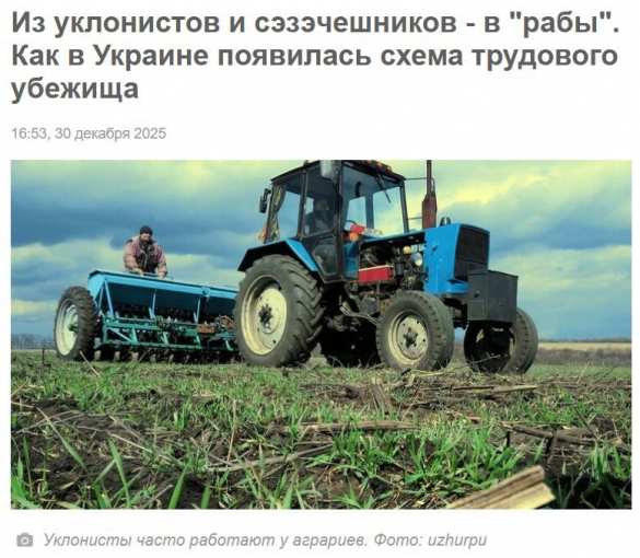 Трудовые лагеря по-украински: Бизнес эксплуатирует уклонистов, в то время как власти закрывают глаза | Русская весна