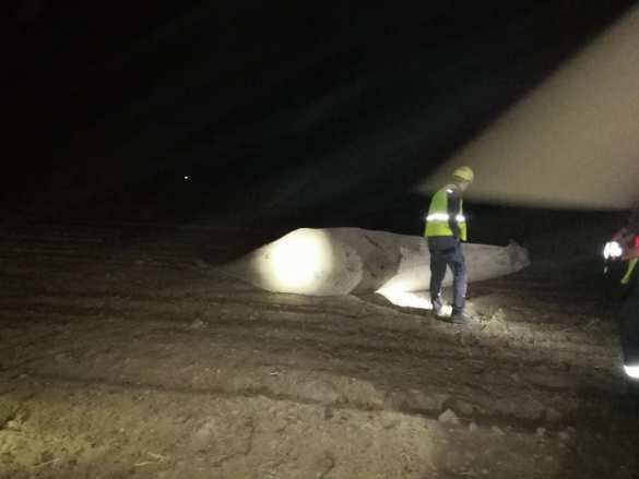 Взрыв на газопроводе под Киевом — подробности (ФОТО, ВИДЕО) | Русская весна