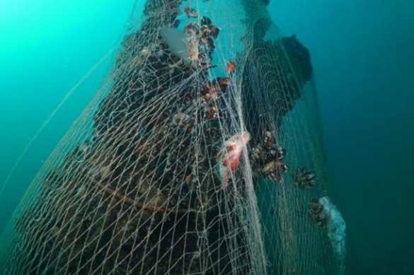  Найдена подлодка «потерянного флота Гитлера» (ФОТО) | Русская весна