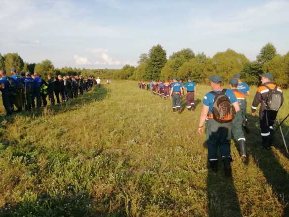 СРОЧНО: Масштабные поиски завершены, в нижегородском лесу нашли пропавшую ранее пятилетнюю девочку (ФОТО, ВИДЕО) | Русская весна